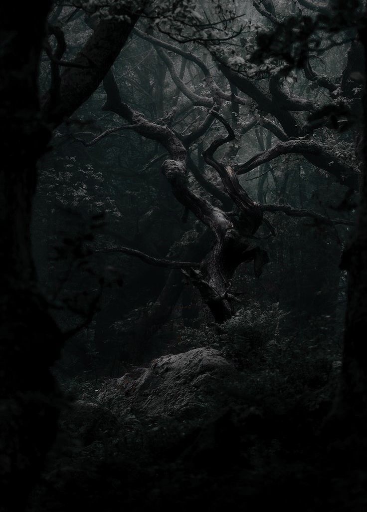 Cuentos Horrorosos